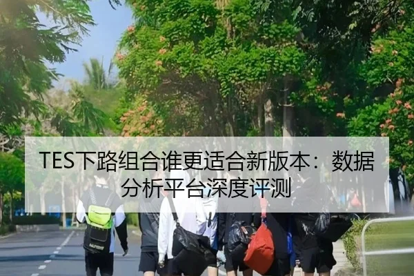 TES下路组合谁更适合新版本：数据分析平台深度评测